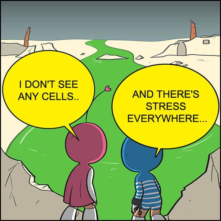Yumi's Cells Chapter 54 page 12 - Chapter 54