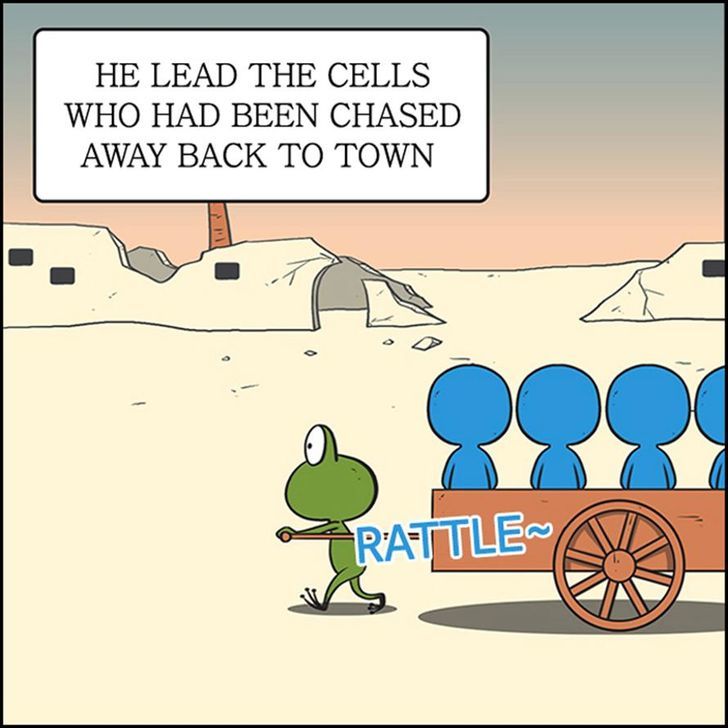 Yumi's Cells Chapter 56 page 23 - Chapter 56