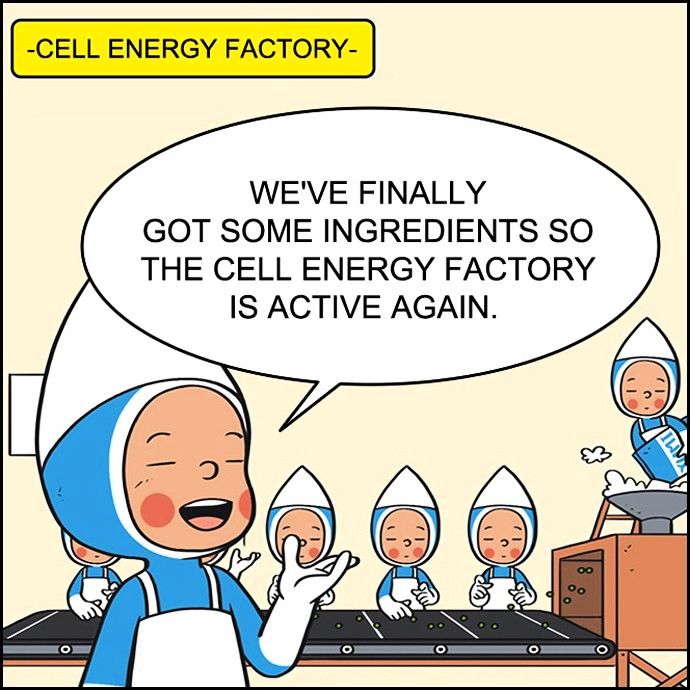 Yumi's Cells Chapter 60 page 1 - Chapter 60