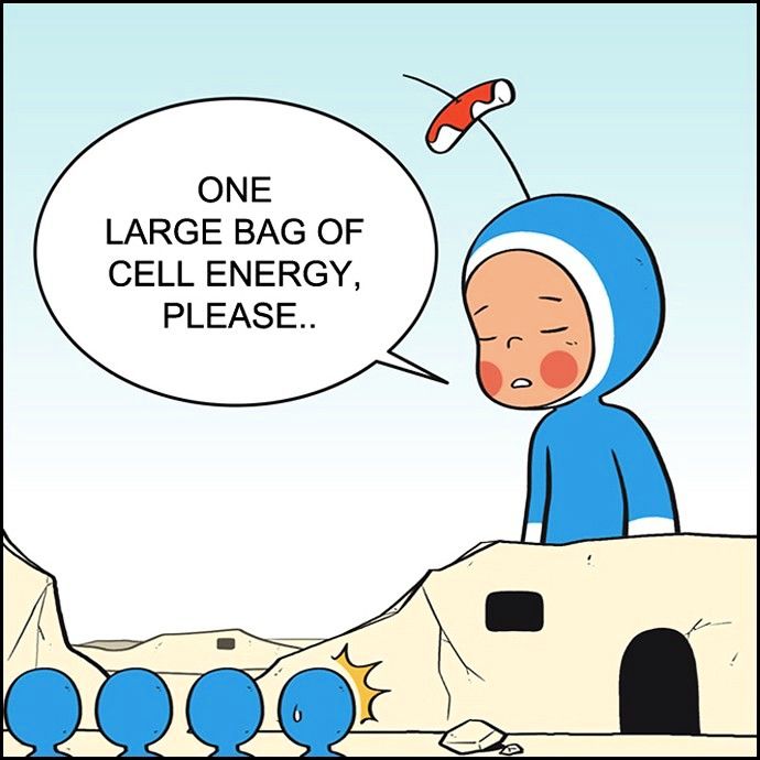 Yumi's Cells Chapter 60 page 3 - Chapter 60