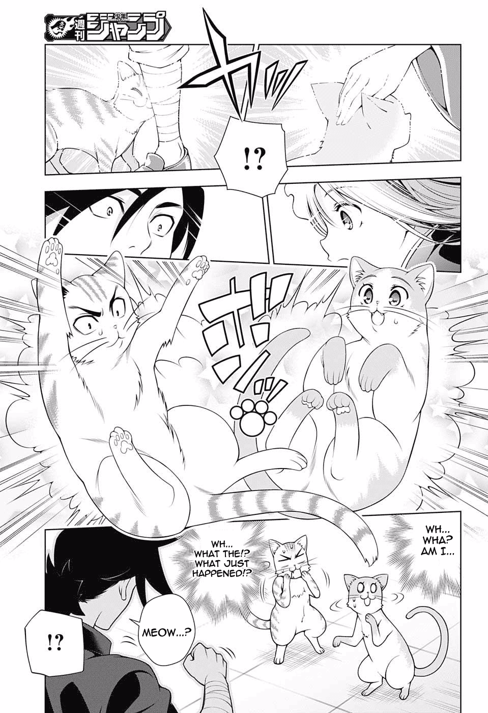Yuragi-sou no Yuuna-san Chapter 81 page 7 - Chapter 81: Meow Meow Paradise