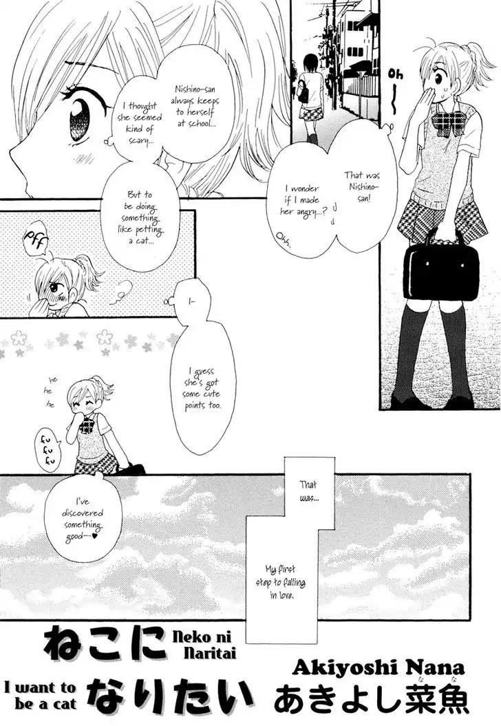 Yuri Hime Wildrose Chapter 2.9 page 8 - Vol.2 Chapter 9: Neko ni Naritai