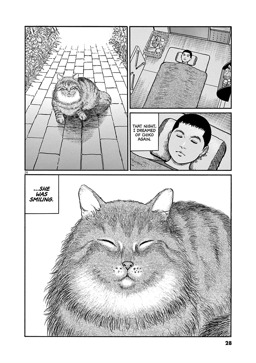 Yuukoku no Rasputin Chapter 27 page 27 - Chapter 27: My Cat Appears in My Dreams