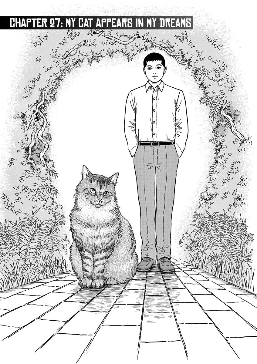 Yuukoku no Rasputin Chapter 27 page 4 - Chapter 27: My Cat Appears in My Dreams