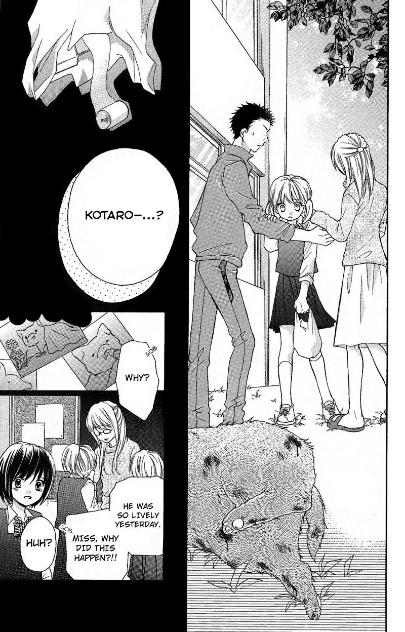 Zekkyou Gakkyuu Chapter 2 page 15 - Chapter 2: The Bonds of a Curse