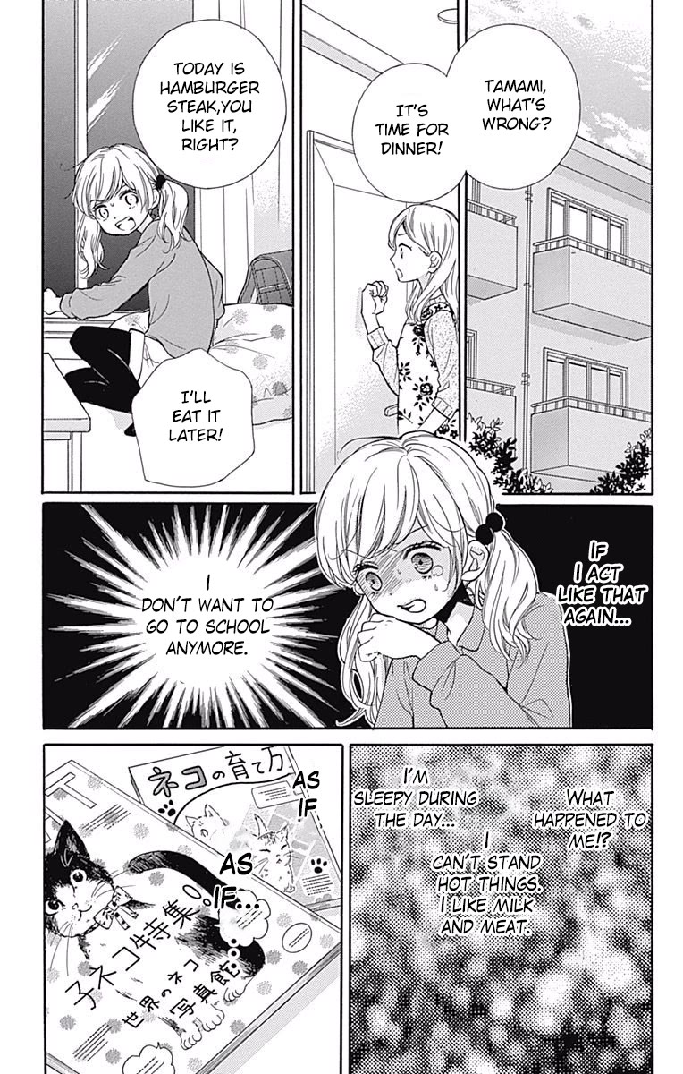 Zekkyou Gakkyuu Chapter 64 page 17 - Chapter 64: Stray Cat Complex