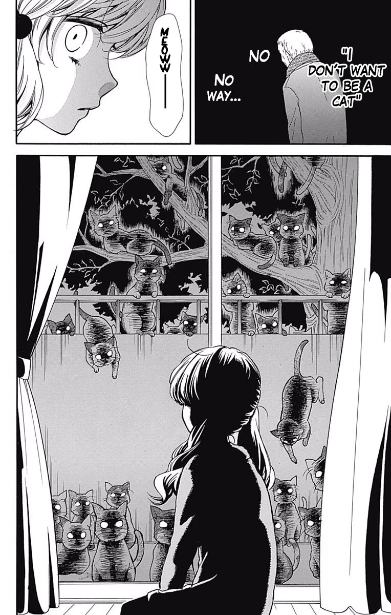 Zekkyou Gakkyuu Chapter 64 page 22 - Chapter 64: Stray Cat Complex