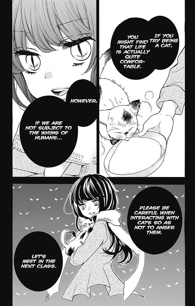 Zekkyou Gakkyuu Chapter 64 page 31 - Chapter 64: Stray Cat Complex