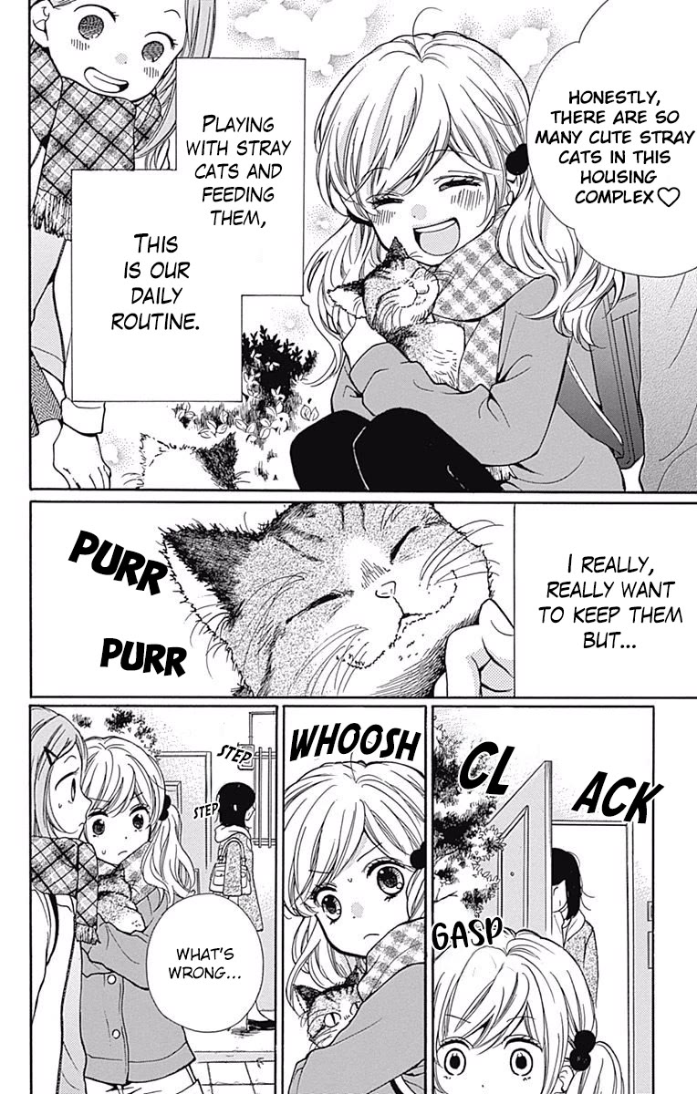 Zekkyou Gakkyuu Chapter 64 page 4 - Chapter 64: Stray Cat Complex