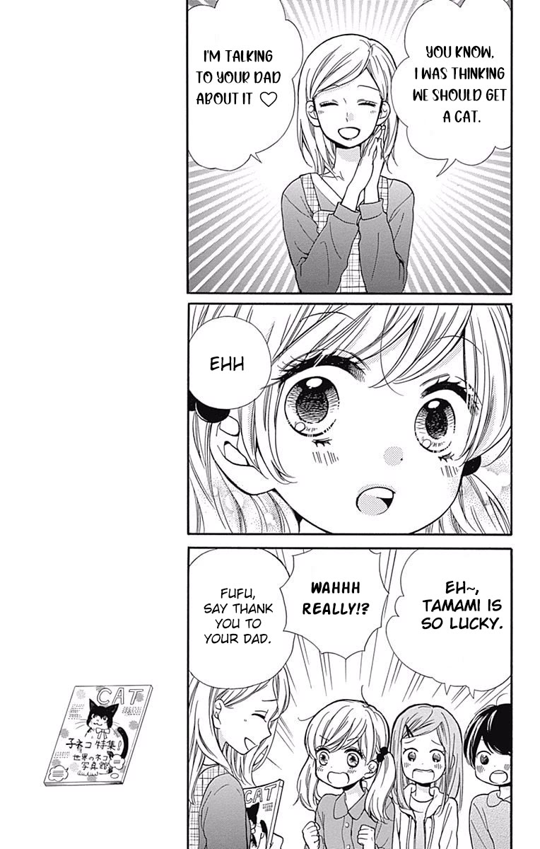 Zekkyou Gakkyuu Chapter 64 page 7 - Chapter 64: Stray Cat Complex