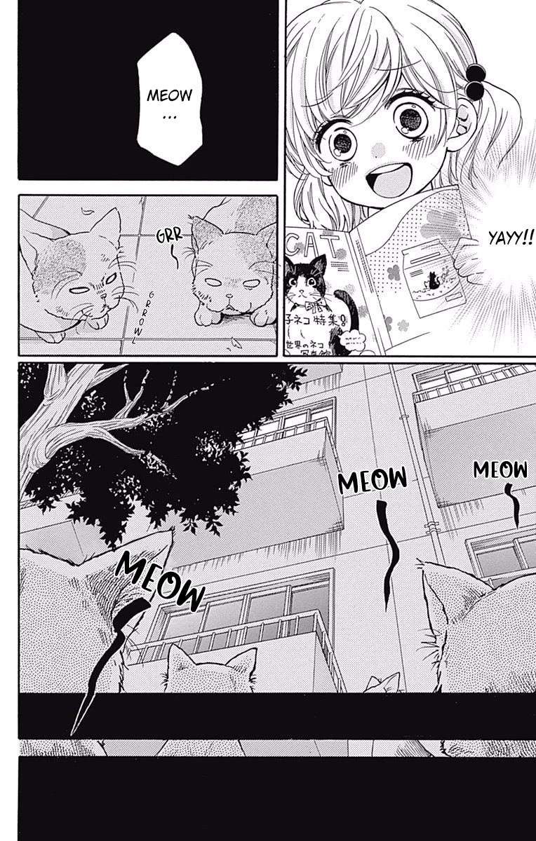 Zekkyou Gakkyuu Chapter 64 page 8 - Chapter 64: Stray Cat Complex