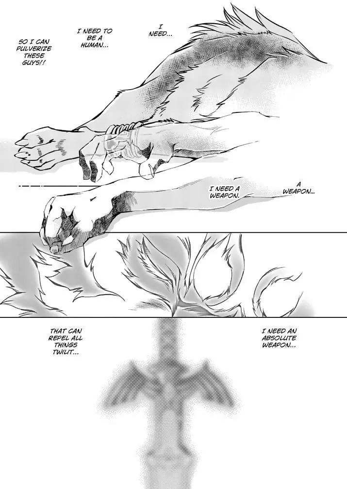 Zelda no Densetsu - Twilight Princess Chapter 15 page 17 - Chapter 15: Twilight Sense