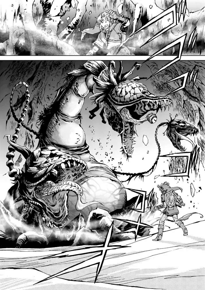Zelda no Densetsu - Twilight Princess Chapter 16 page 12 - Chapter 16: The Hero in Green