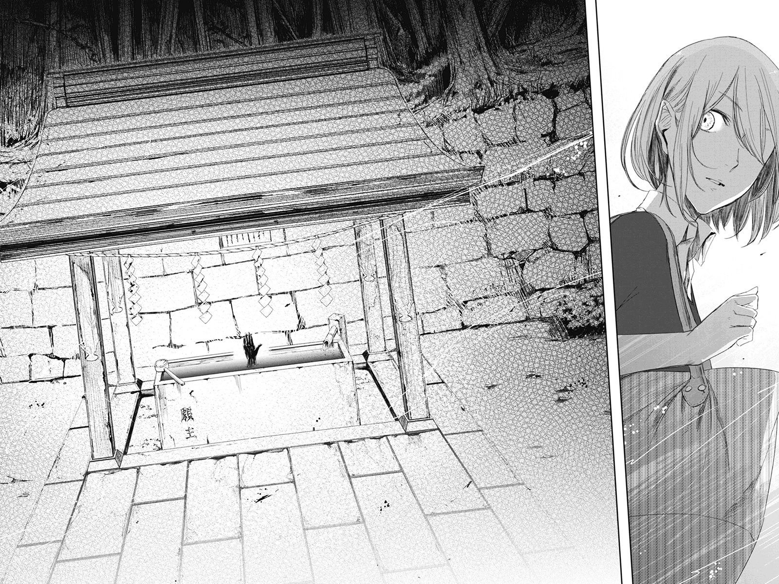 Zero - Kage Miko Chapter 5 page 10 - Chapter 5 : Karizawa Village