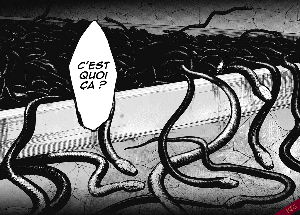 Zero - Kage Miko Chapter 7 page 16 - Chapter 7 : Le corbeau luisant.