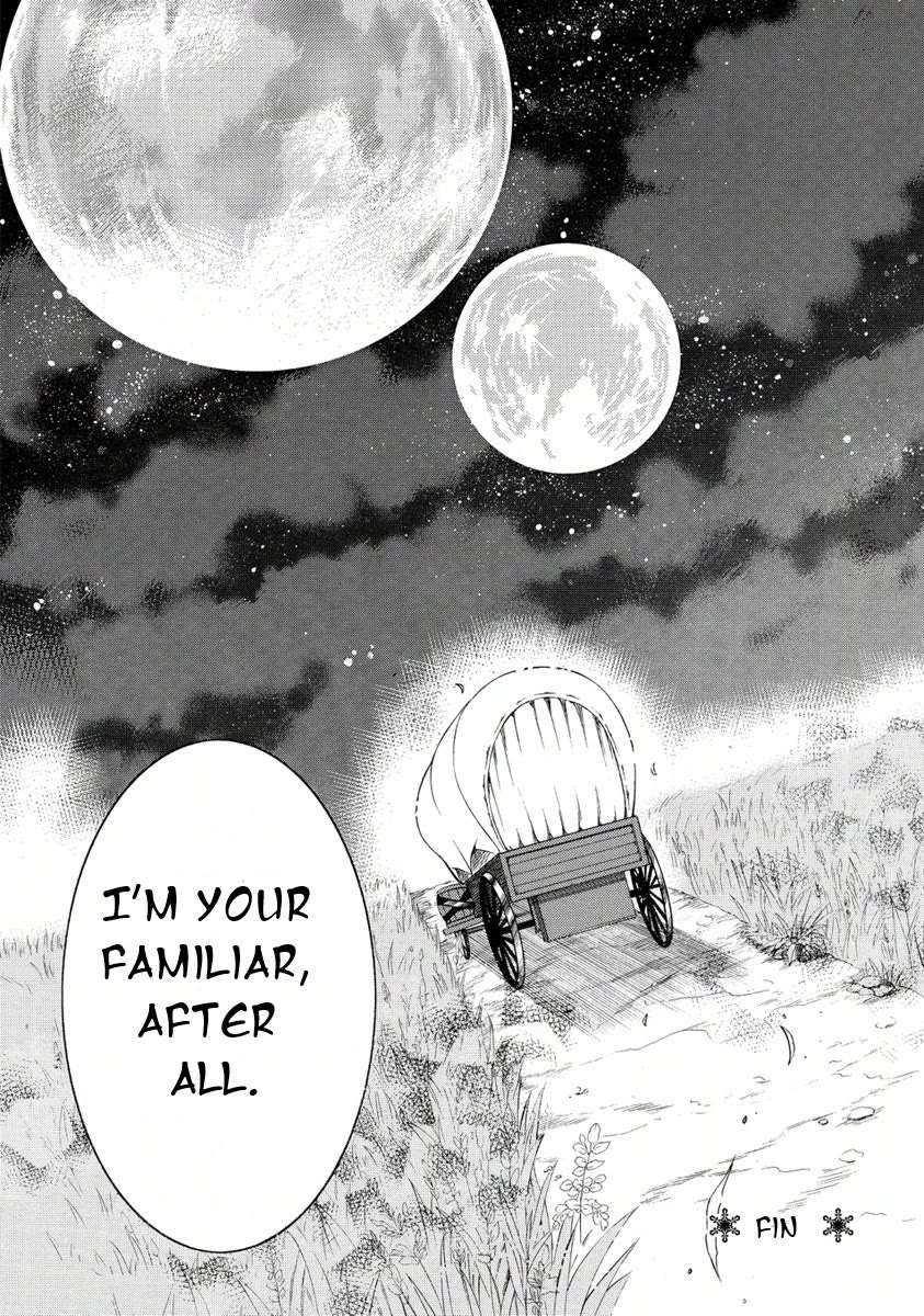 Zero no Tsukaima Gaiden: Tabasa no Bouken Chapter 25 page 37 - Chapter 25: Tabitha's Adventure 5