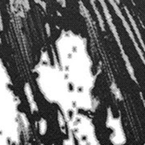 ZINGNIZE Chapter 25: Our Downfall!!!!!! cover