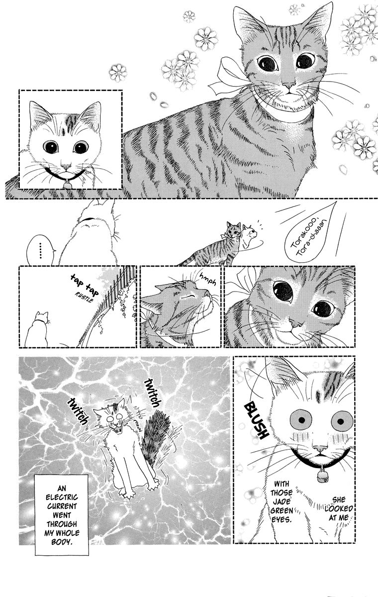 Zoccha no Nichijou Chapter 1 page 8 - Chapter 1