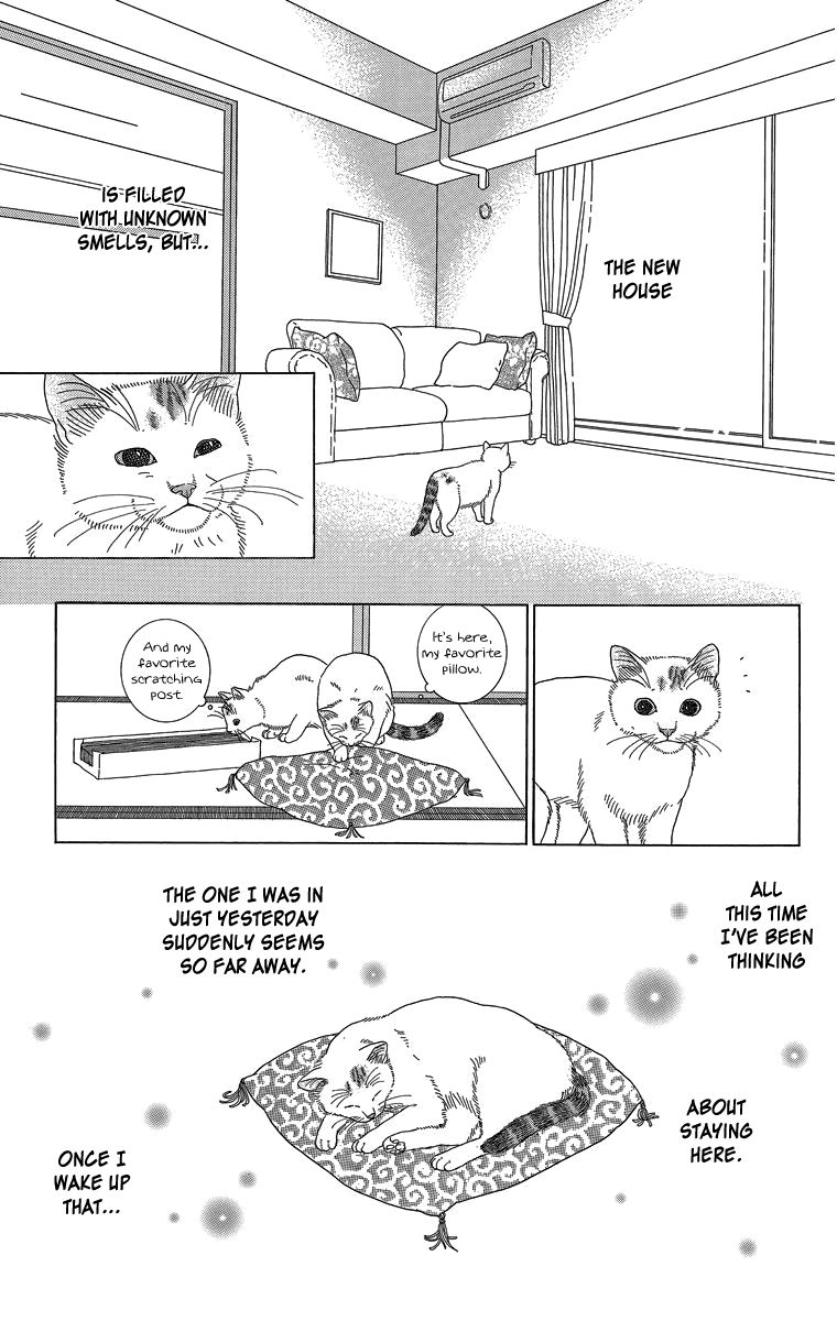 Zoccha no Nichijou Chapter 11 page 13 - Chapter 11 : My New Home
