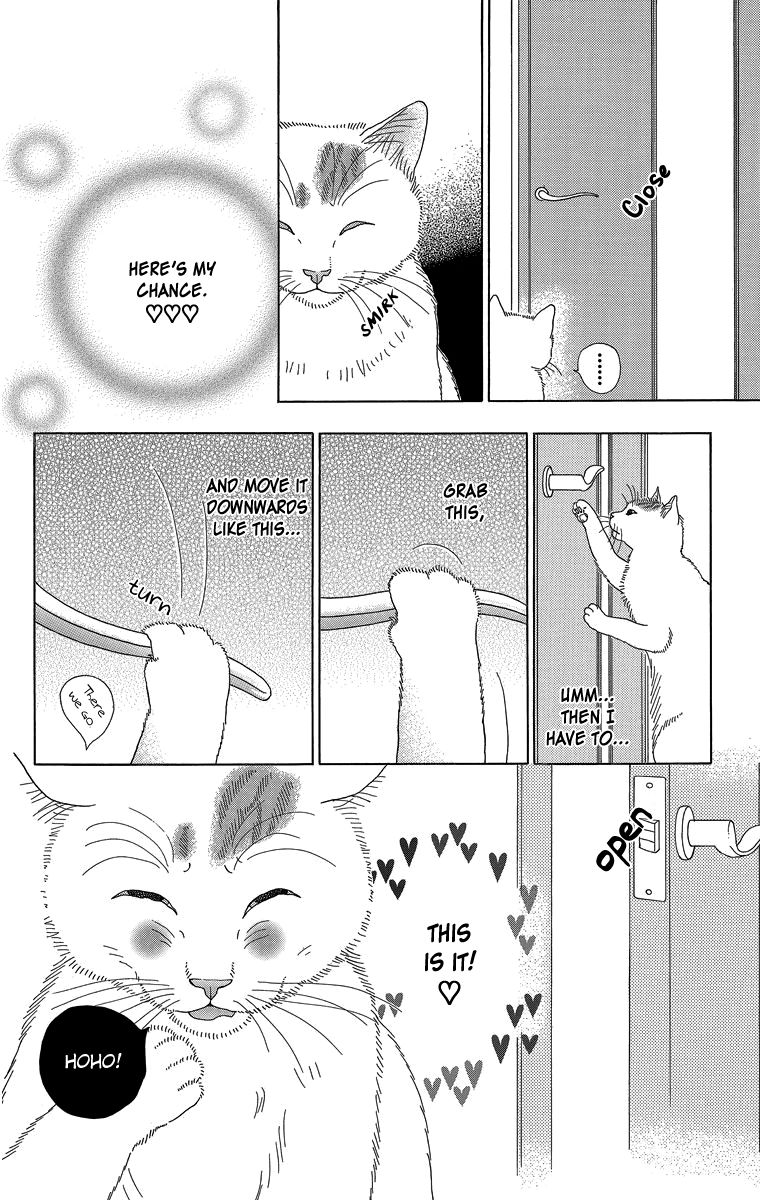 Zoccha no Nichijou Chapter 13 page 8 - Chapter 13 : Great Ambitions Part 1