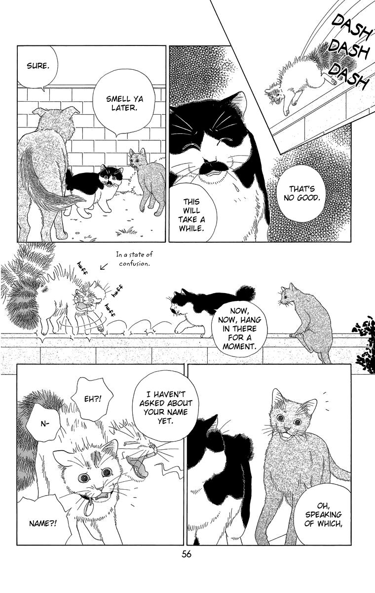 Zoccha no Nichijou Chapter 15 page 10 - Chapter 15 : Best Friend