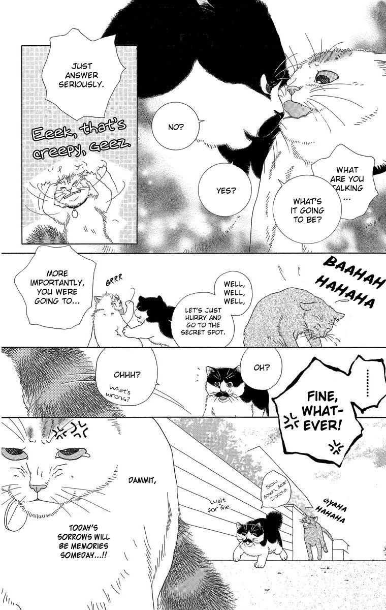 Zoccha no Nichijou Chapter 15 page 12 - Chapter 15 : Best Friend