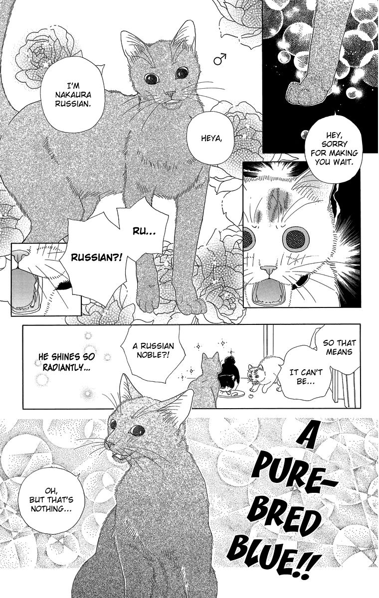 Zoccha no Nichijou Chapter 15 page 5 - Chapter 15 : Best Friend