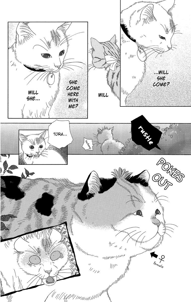 Zoccha no Nichijou Chapter 16 page 10 - Chapter 16 : Night Gathering Part 1