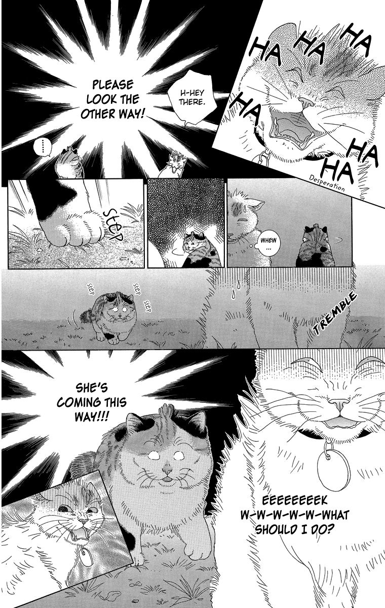 Zoccha no Nichijou Chapter 16 page 12 - Chapter 16 : Night Gathering Part 1