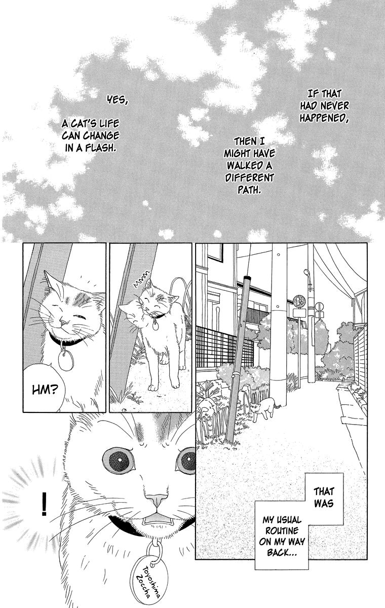 Zoccha no Nichijou Chapter 16 page 2 - Chapter 16 : Night Gathering Part 1