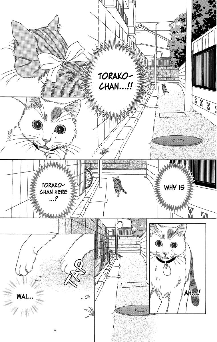 Zoccha no Nichijou Chapter 16 page 3 - Chapter 16 : Night Gathering Part 1