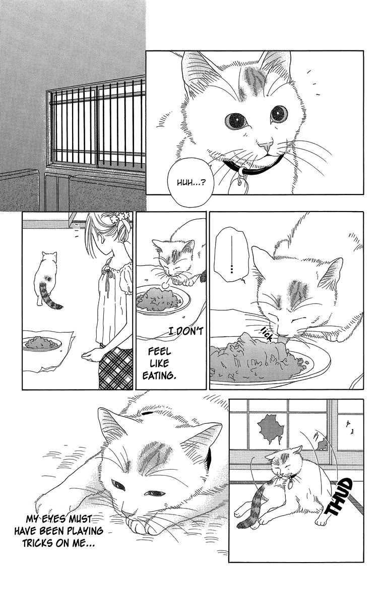 Zoccha no Nichijou Chapter 16 page 5 - Chapter 16 : Night Gathering Part 1