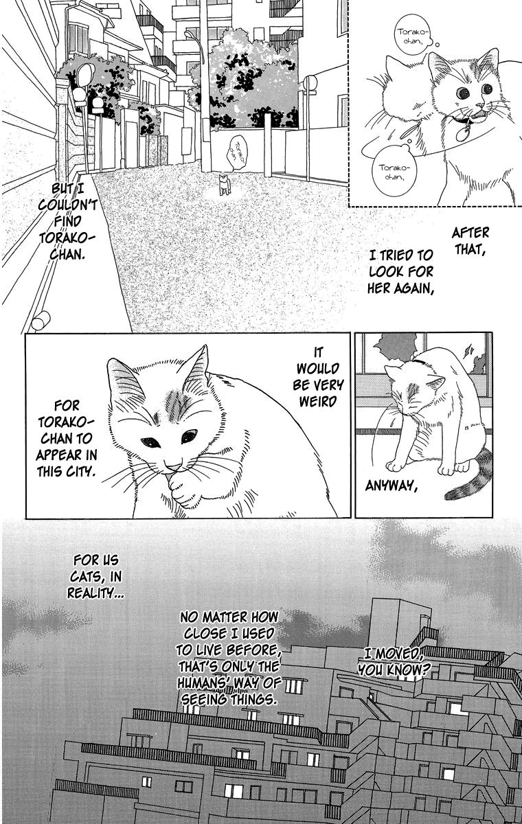 Zoccha no Nichijou Chapter 16 page 6 - Chapter 16 : Night Gathering Part 1