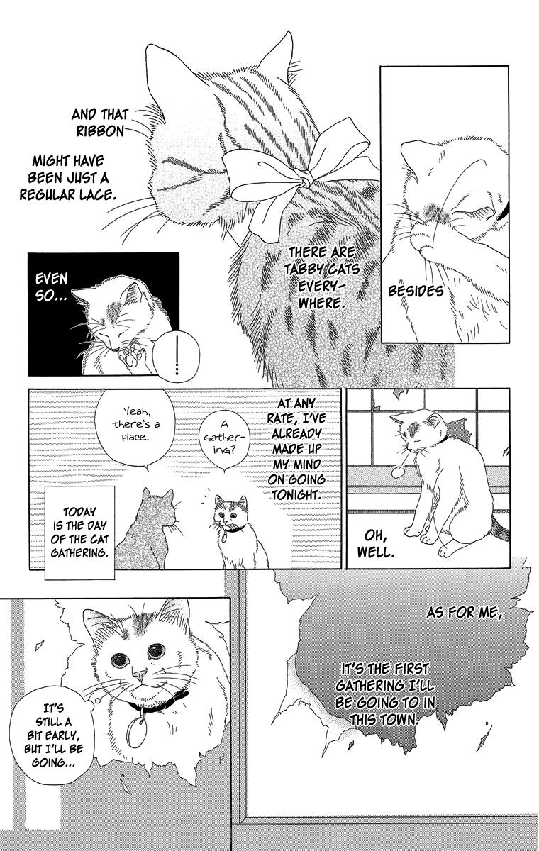 Zoccha no Nichijou Chapter 16 page 7 - Chapter 16 : Night Gathering Part 1