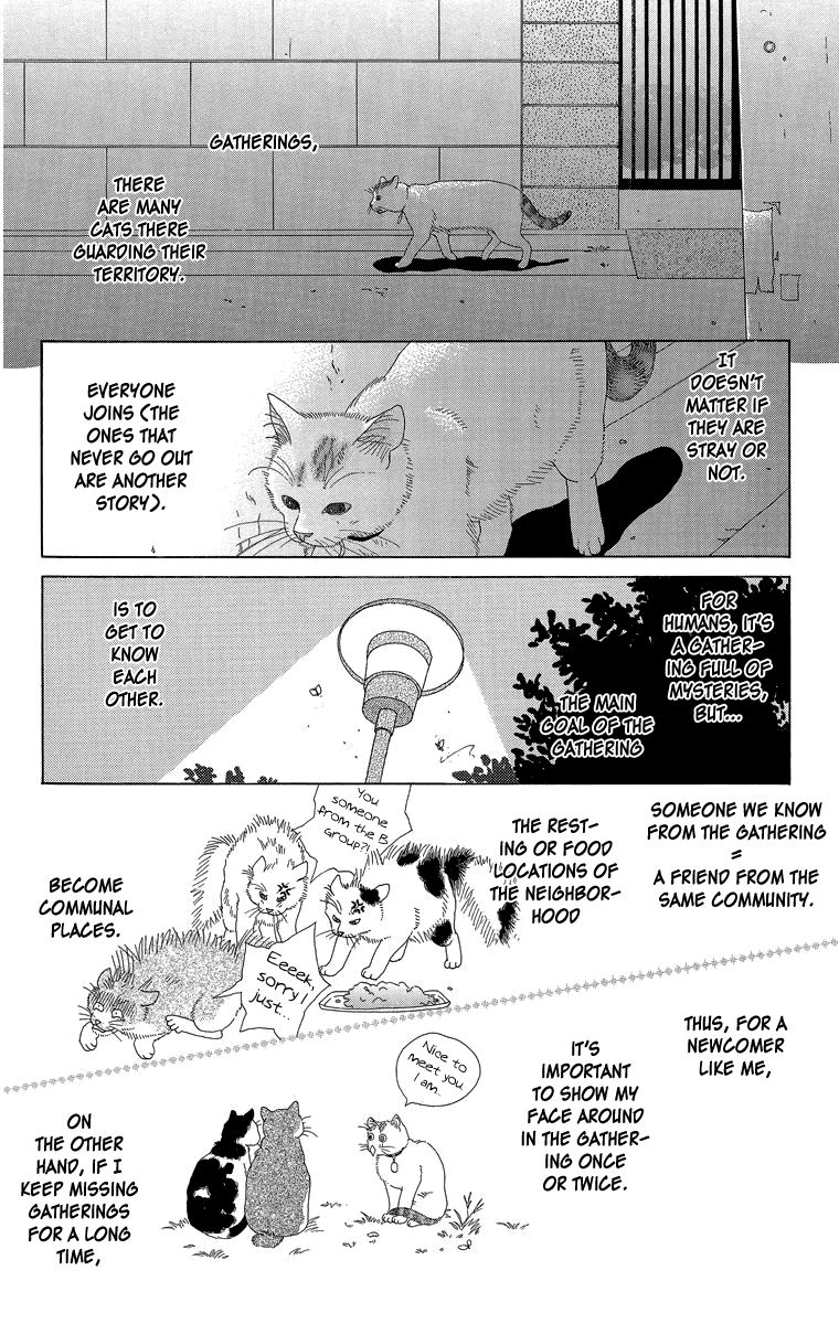 Zoccha no Nichijou Chapter 16 page 8 - Chapter 16 : Night Gathering Part 1