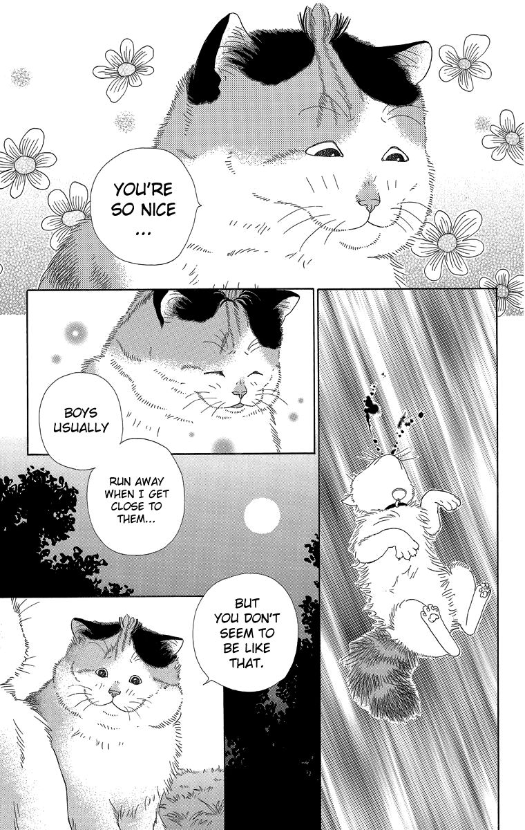 Zoccha no Nichijou Chapter 17 page 5 - Chapter 17 : Night Gathering Part 2