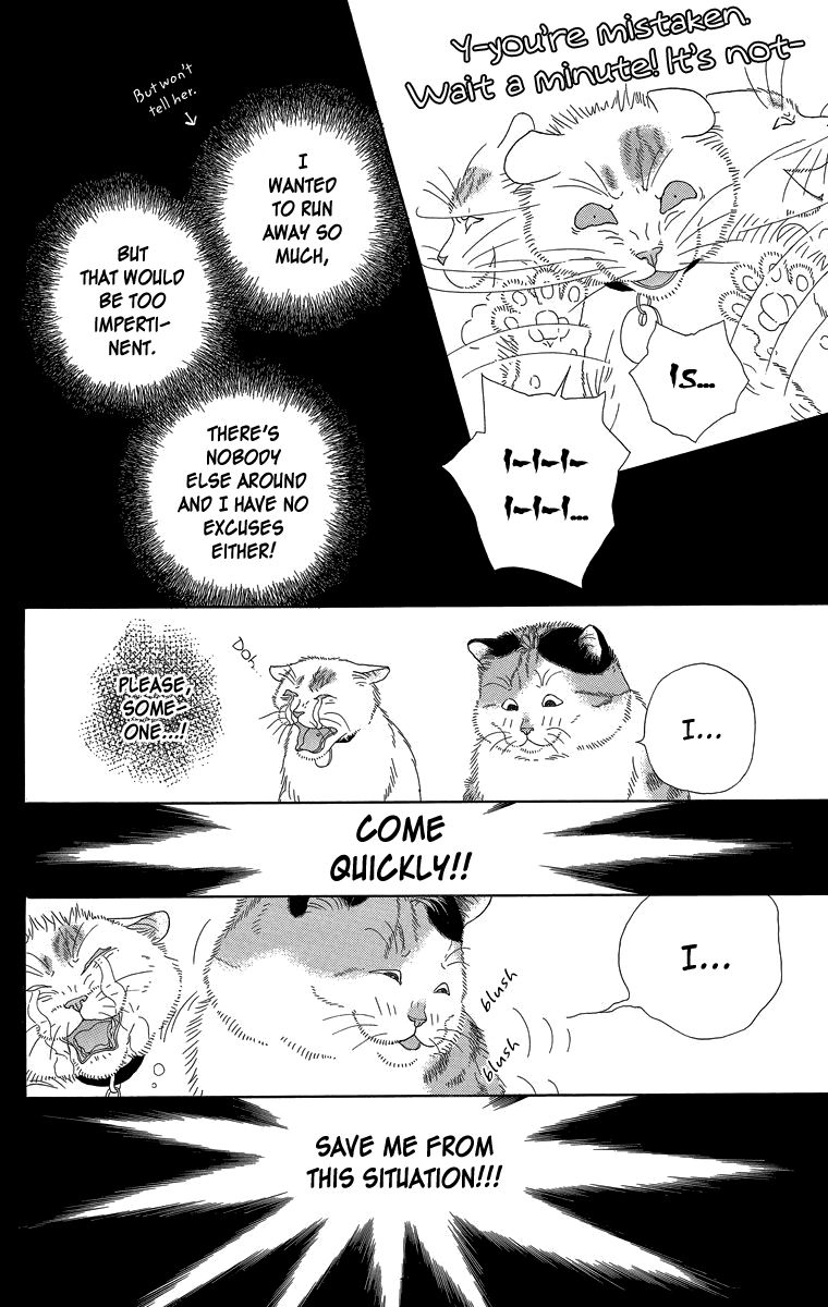 Zoccha no Nichijou Chapter 17 page 6 - Chapter 17 : Night Gathering Part 2
