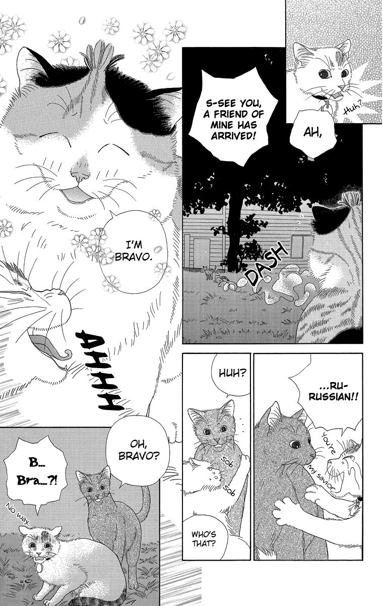Zoccha no Nichijou Chapter 17 page 7 - Chapter 17 : Night Gathering Part 2