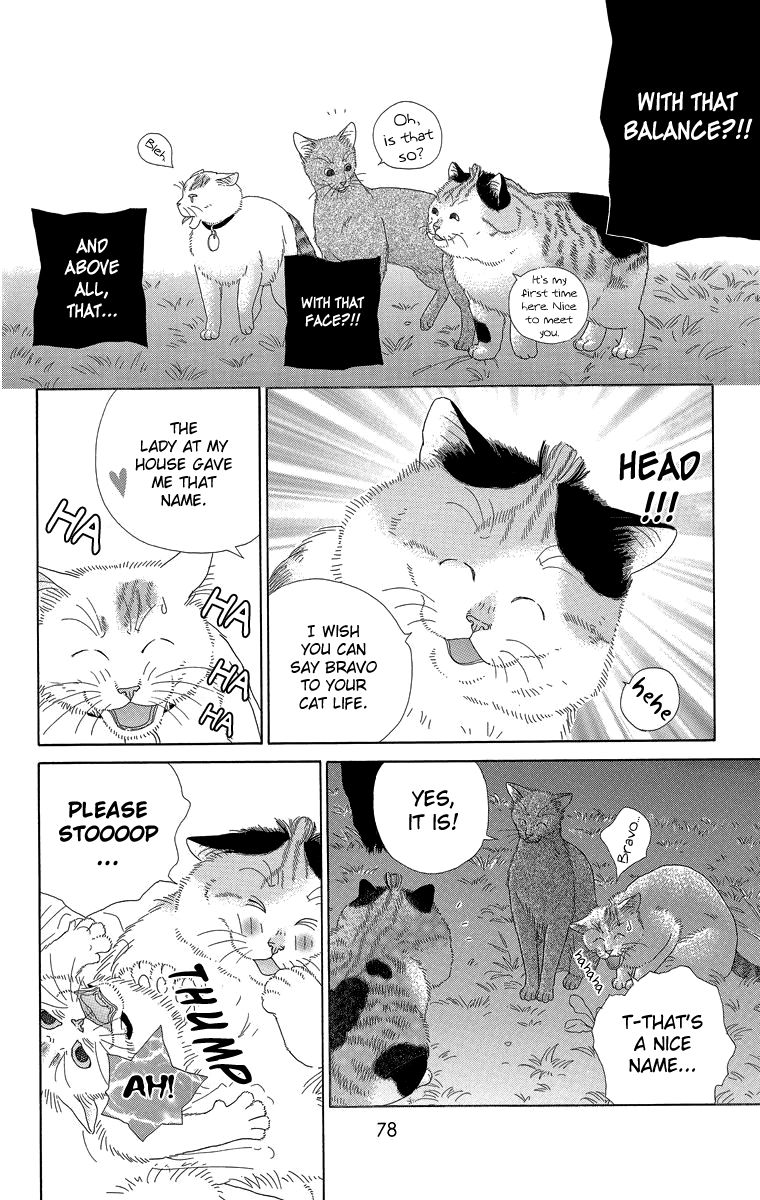 Zoccha no Nichijou Chapter 17 page 8 - Chapter 17 : Night Gathering Part 2