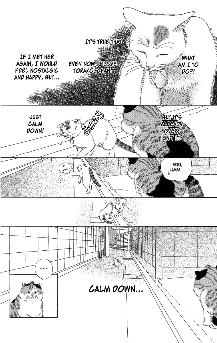 Zoccha no Nichijou Chapter 18 page 12 - Chapter 18 : Is It A Dream? Reality? An Illusion?