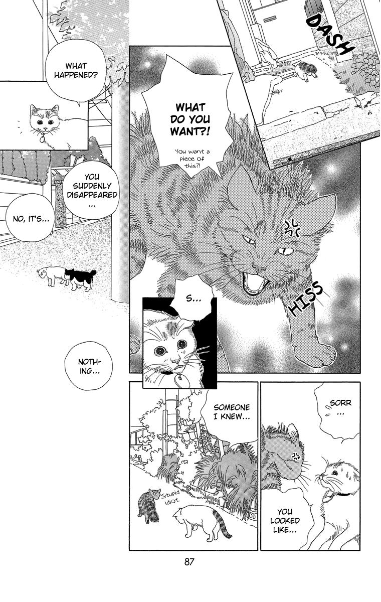 Zoccha no Nichijou Chapter 18 page 5 - Chapter 18 : Is It A Dream? Reality? An Illusion?