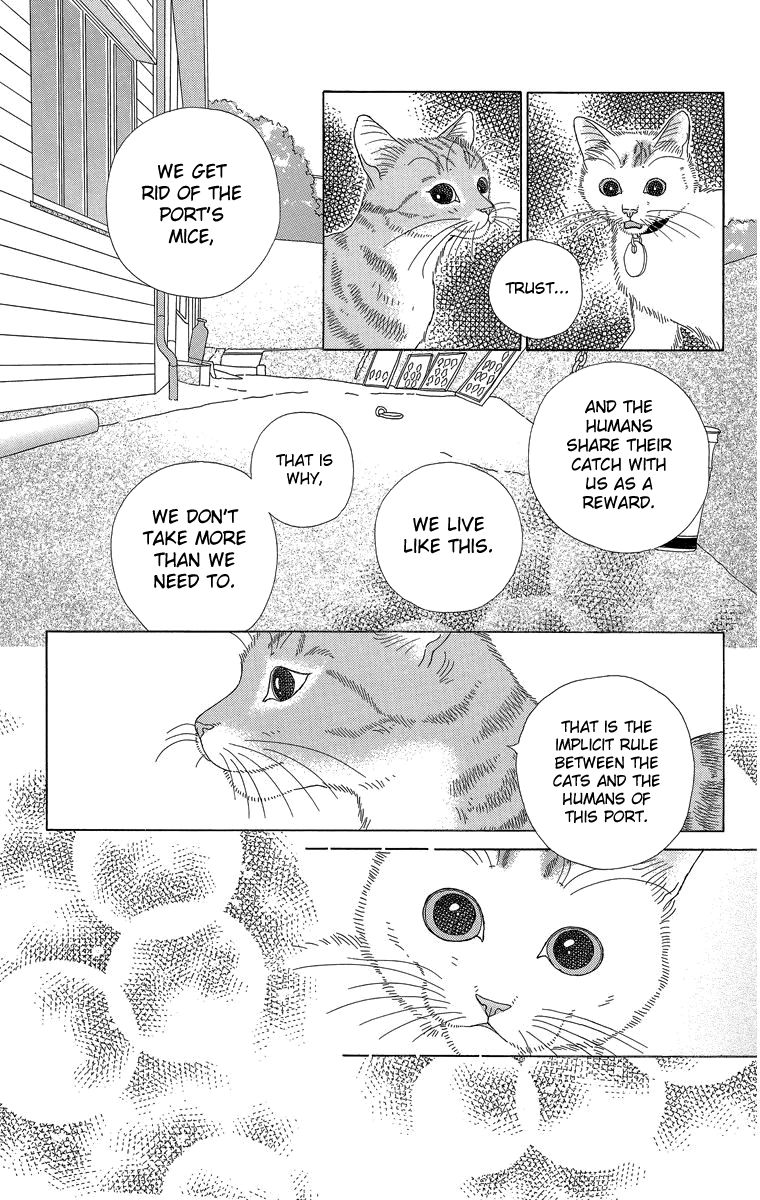 Zoccha no Nichijou Chapter 20 page 13 - Chapter 20 : Ellie My Love