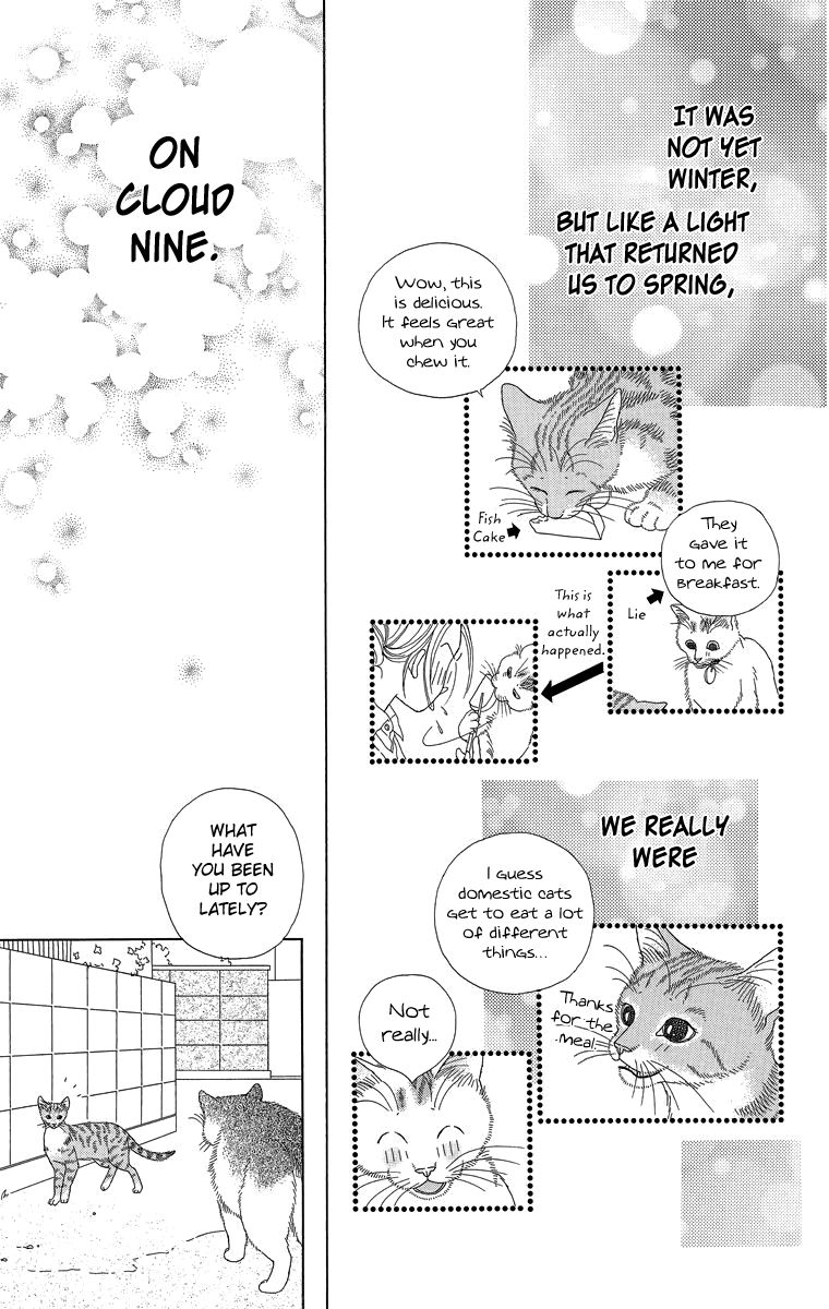 Zoccha no Nichijou Chapter 20 page 17 - Chapter 20 : Ellie My Love