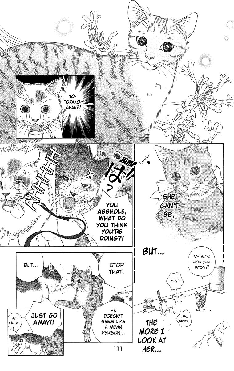 Zoccha no Nichijou Chapter 20 page 5 - Chapter 20 : Ellie My Love