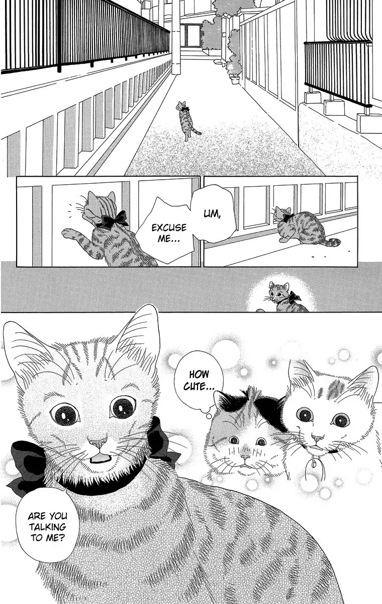 Zoccha no Nichijou Chapter 21 page 10 - Chapter 21: Between Me And Her