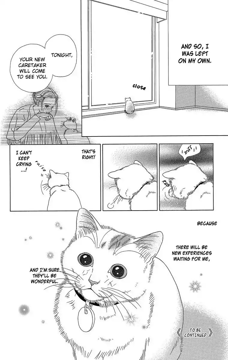 Zoccha no Nichijou Chapter 23 page 12 - Chapter 23: Where Am I Going?