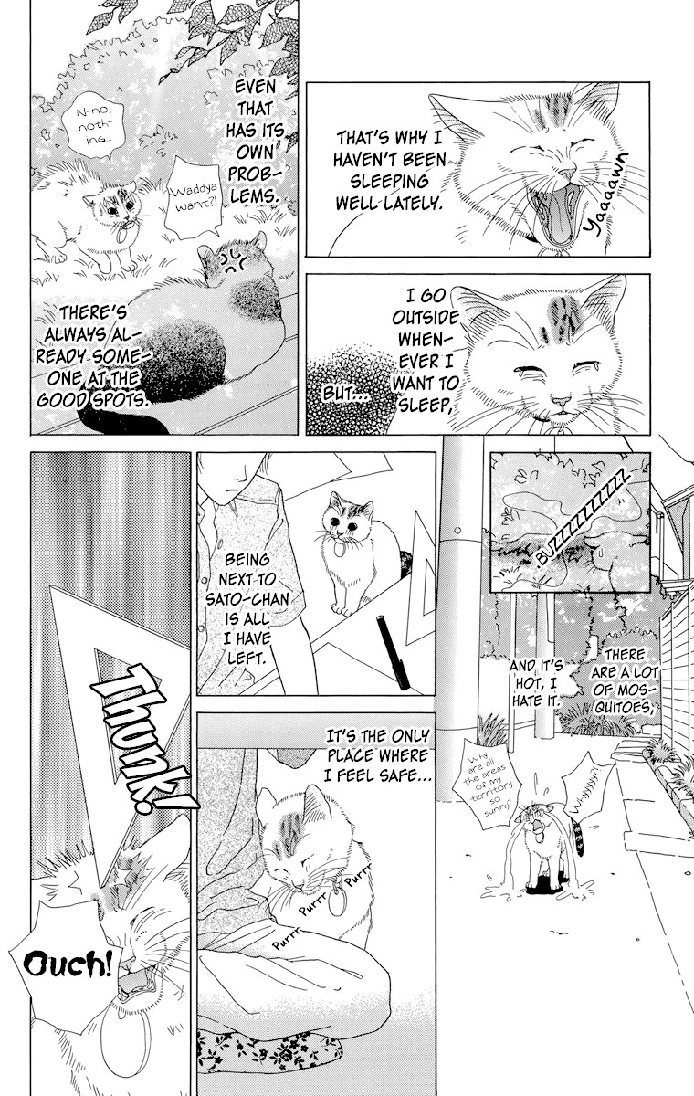 Zoccha no Nichijou Chapter 26 page 5 - Chapter 26: We're Both Stubborn?!