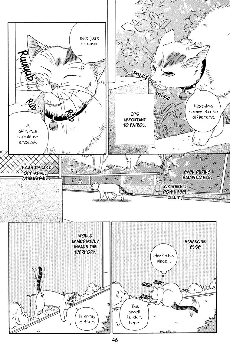 Zoccha no Nichijou Chapter 5 page 2 - Chapter 5 : World Events