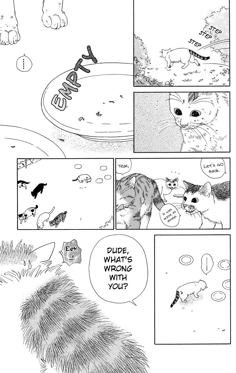 Zoccha no Nichijou Chapter 9 page 5 - Chapter 9 : How To Receive Good Food