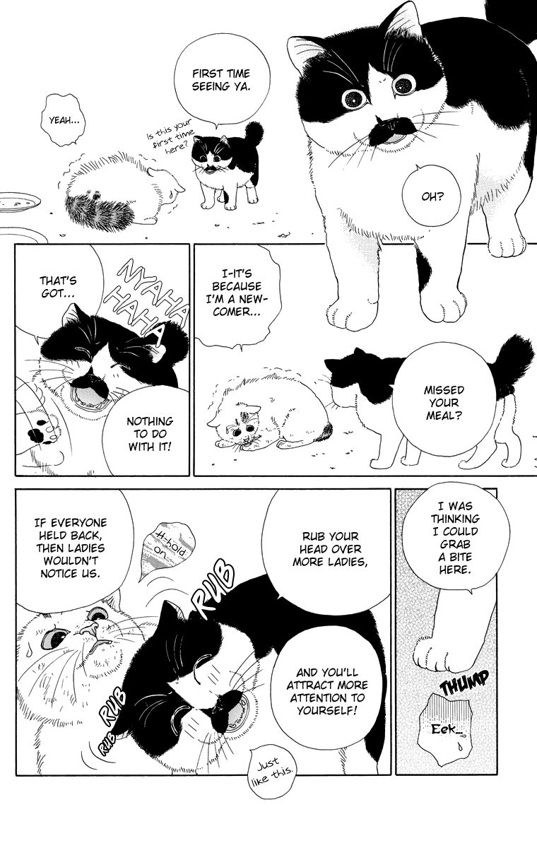 Zoccha no Nichijou Chapter 9 page 6 - Chapter 9 : How To Receive Good Food